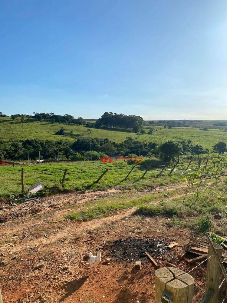 Terreno, 11 hectares - Foto 3