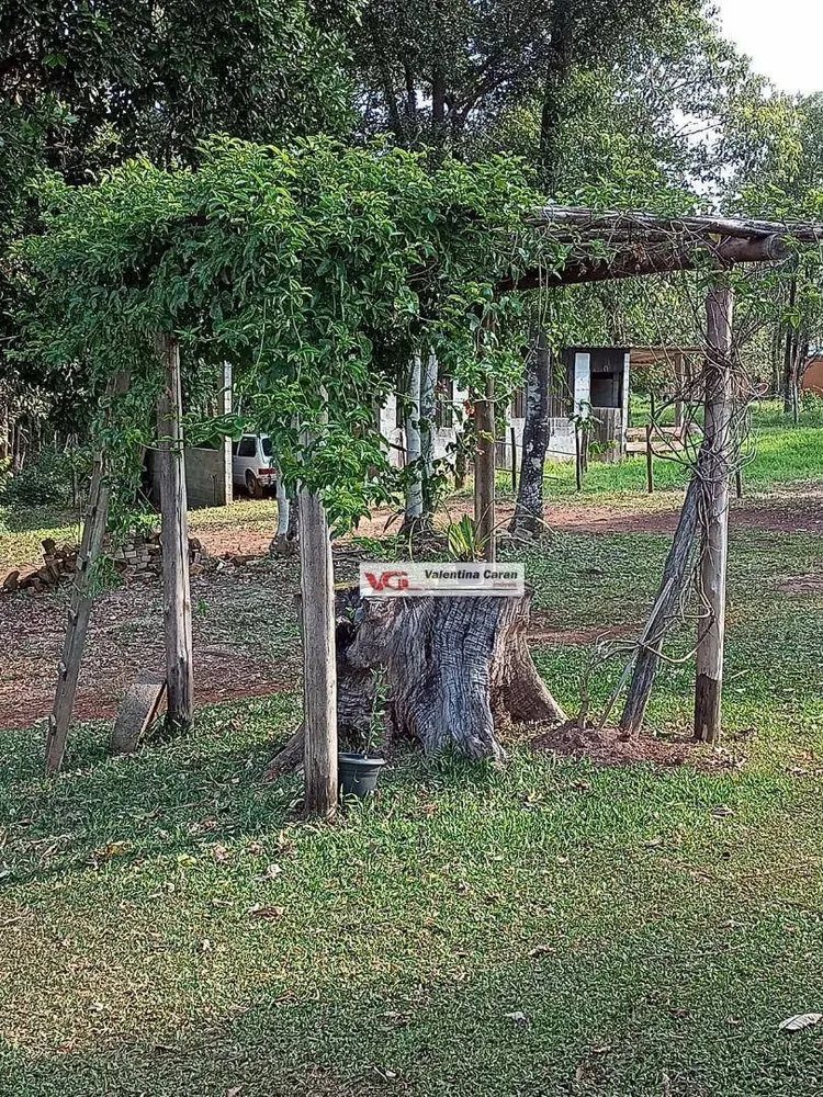 Sítio, 3 hectares - Foto 4