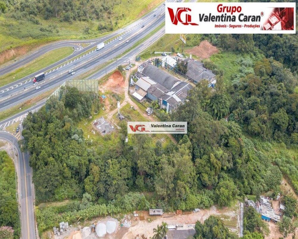 Terreno, 3 hectares - Foto 4
