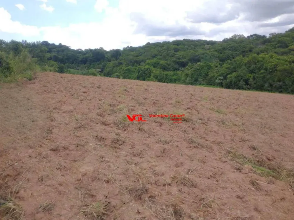 Terreno, 2 hectares - Foto 4