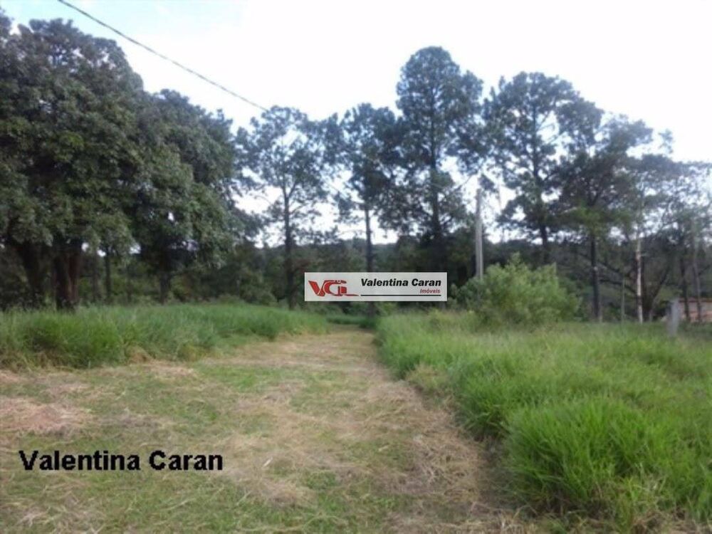 Terreno, 12 hectares - Foto 1