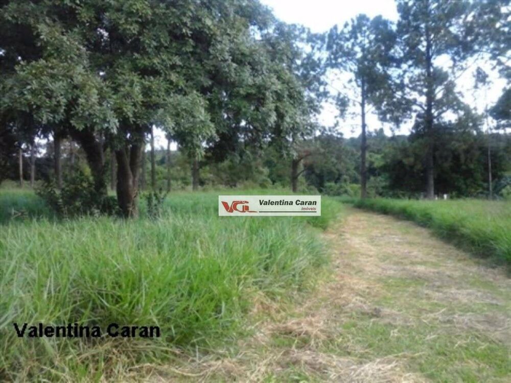 Terreno, 12 hectares - Foto 4