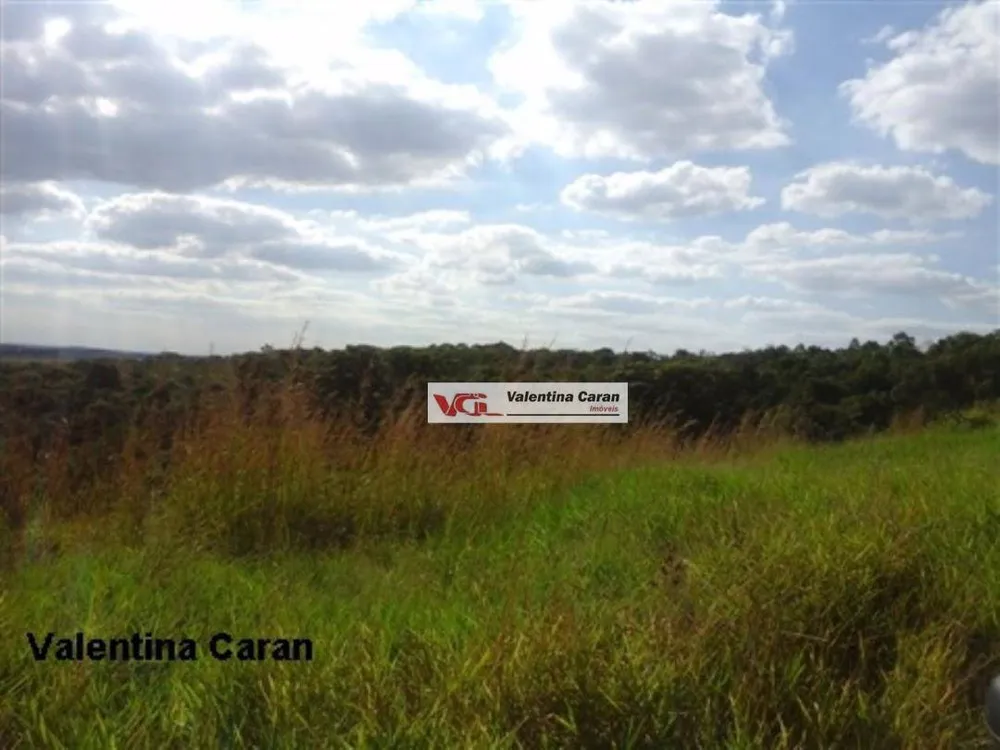 Terreno, 12 hectares - Foto 6