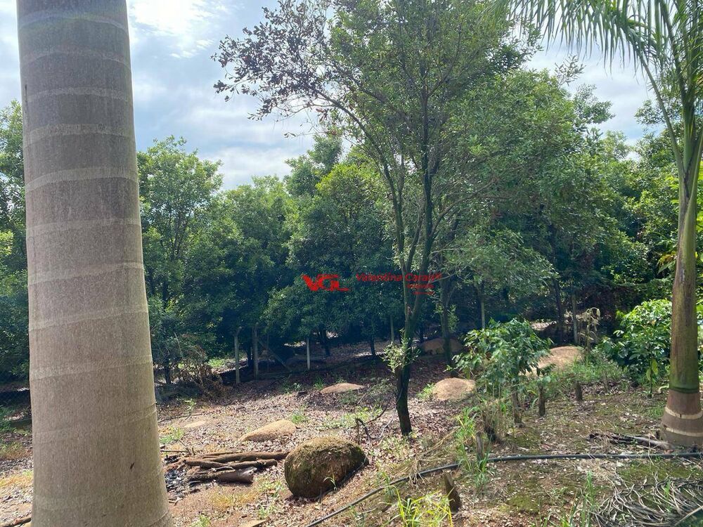 Sítio, 2 quartos, 2 hectares - Foto 9