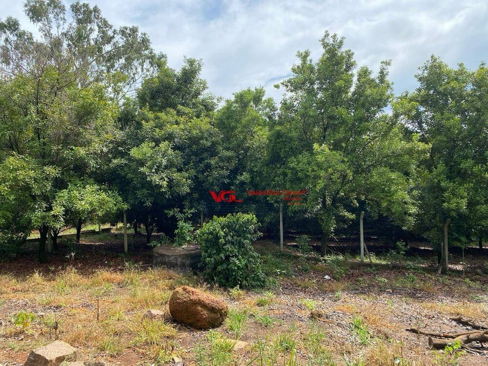 Sítio, 2 quartos, 2 hectares - Foto 3