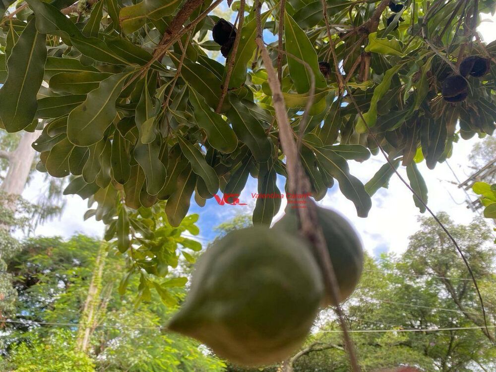 Sítio, 2 quartos, 2 hectares - Foto 6