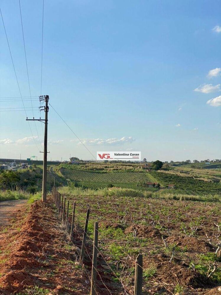 Terreno, 2 hectares - Foto 3