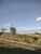 Terreno, 2 hectares - Foto 4