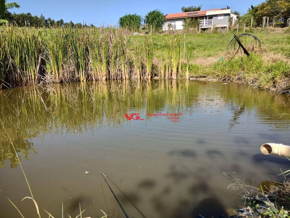 Sítio, 1 quarto, 3 hectares - Foto 4