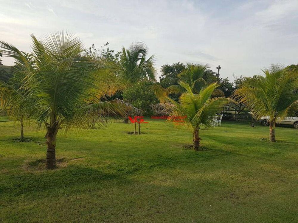 Sítio, 4 quartos, 2 hectares - Foto 3