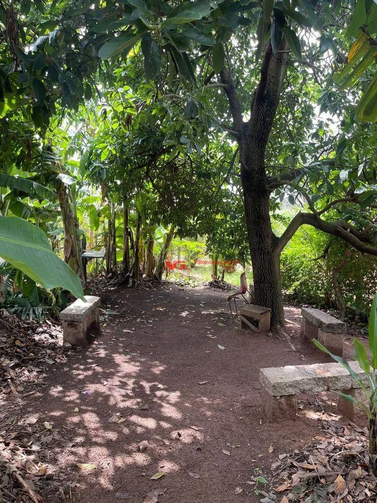 Sítio, 5 quartos, 4000 m² - Foto 14