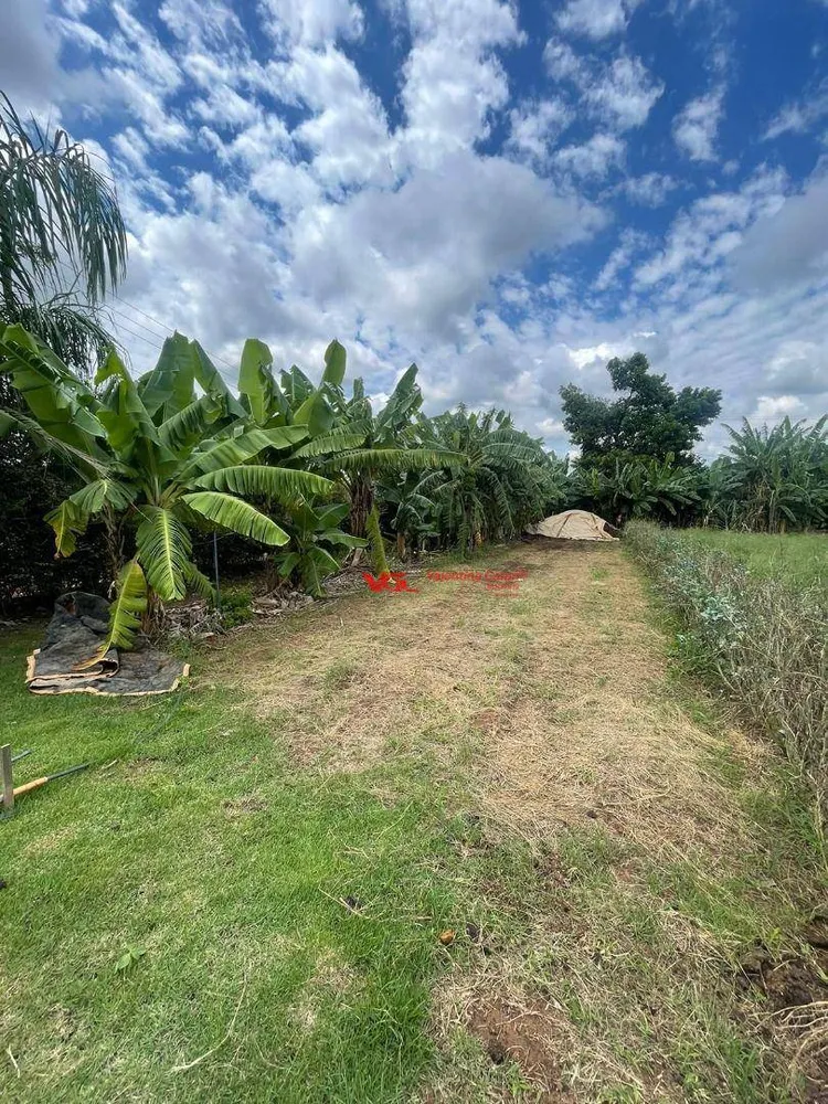 Sítio, 5 quartos, 4000 m² - Foto 15