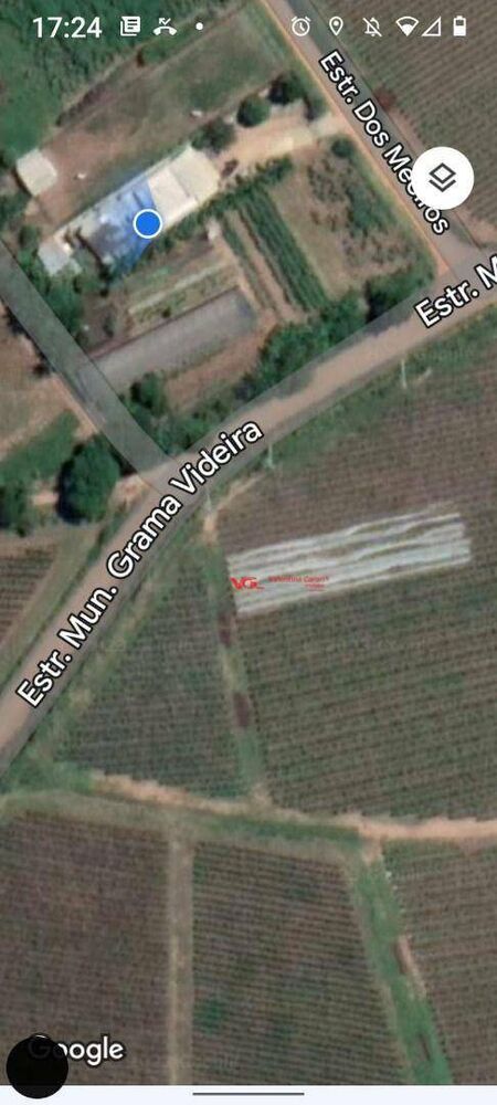 Sítio, 5 quartos, 4000 m² - Foto 12