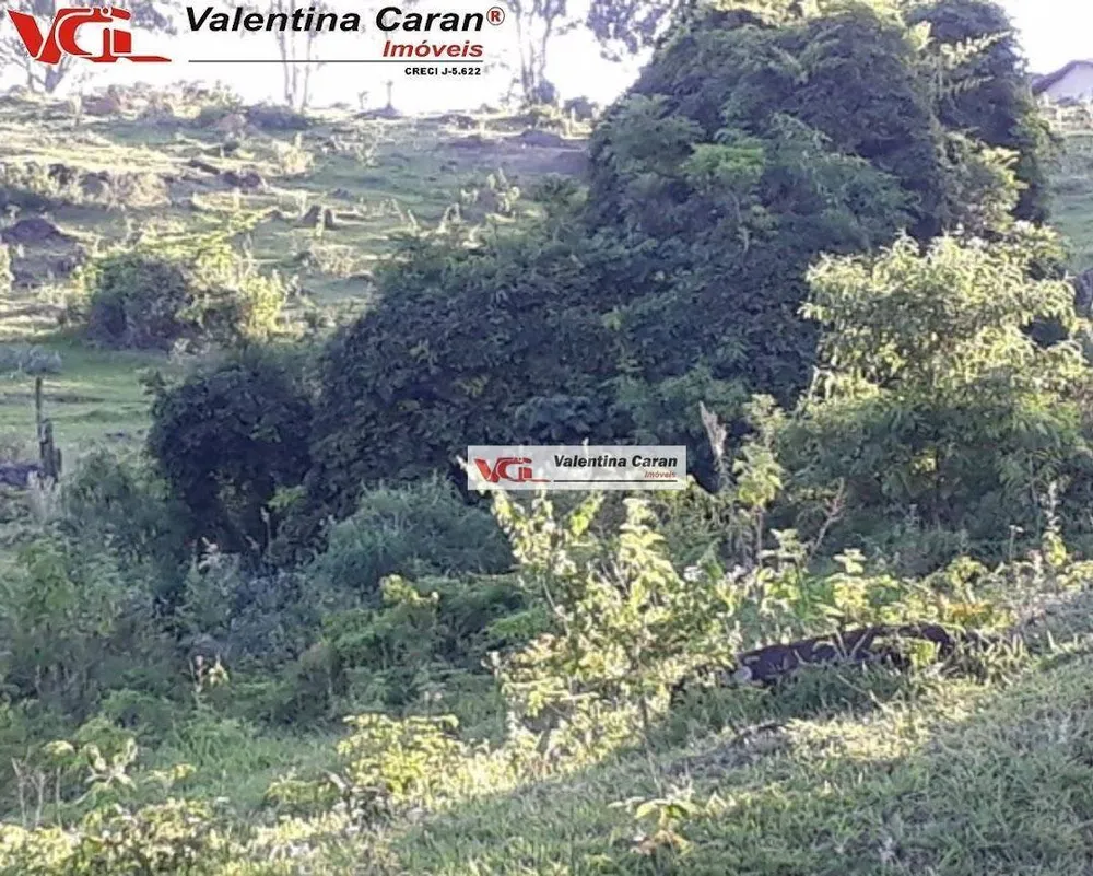 Fazenda, 184 hectares - Foto 14