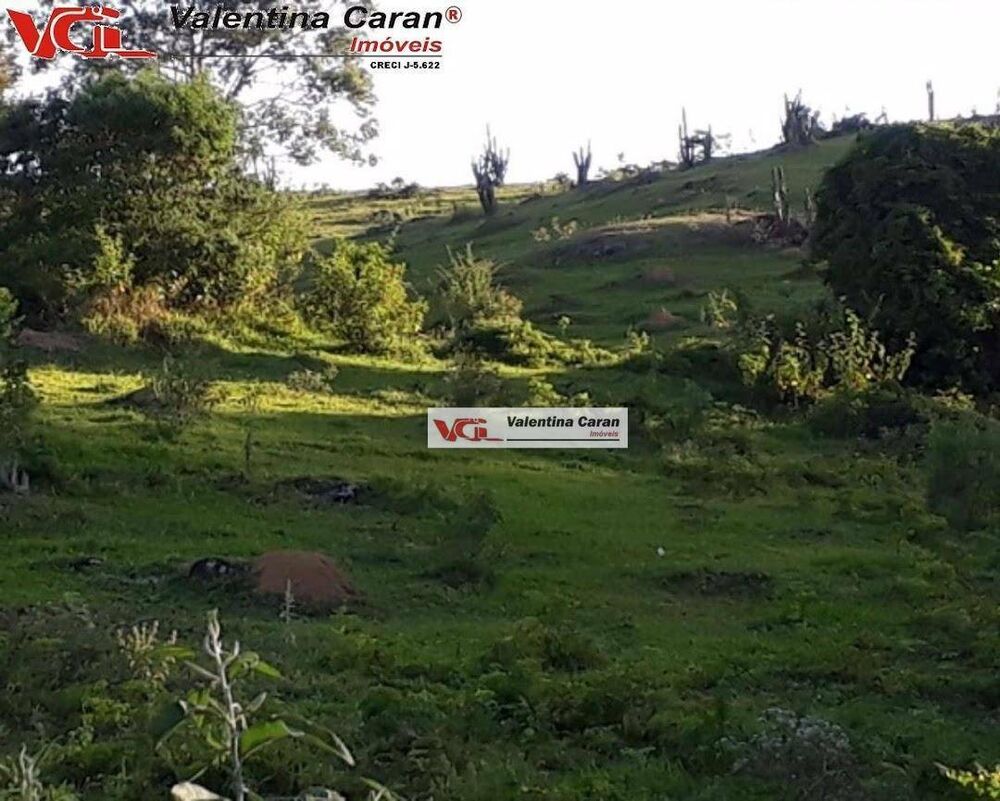 Fazenda, 184 hectares - Foto 4