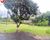 Chácara, 4 quartos, 1 hectares - Foto 4