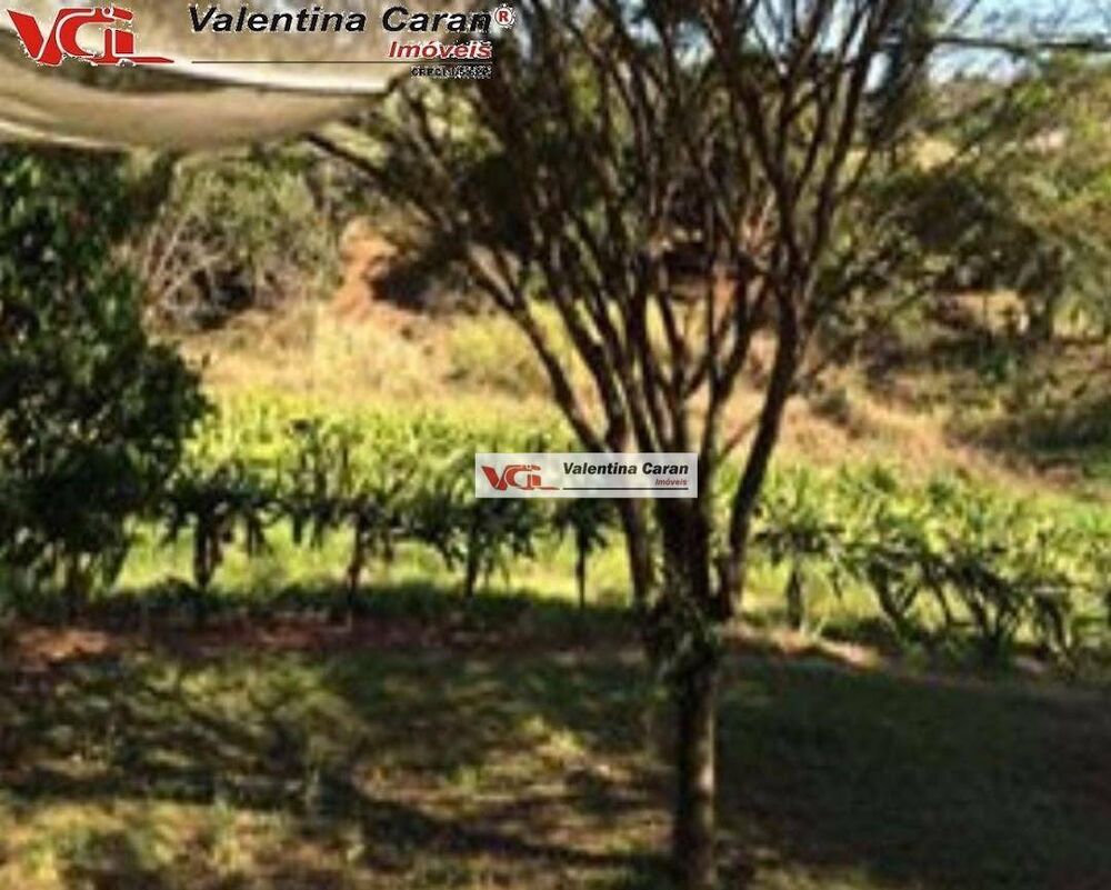 Sítio, 3 quartos, 2 hectares - Foto 3