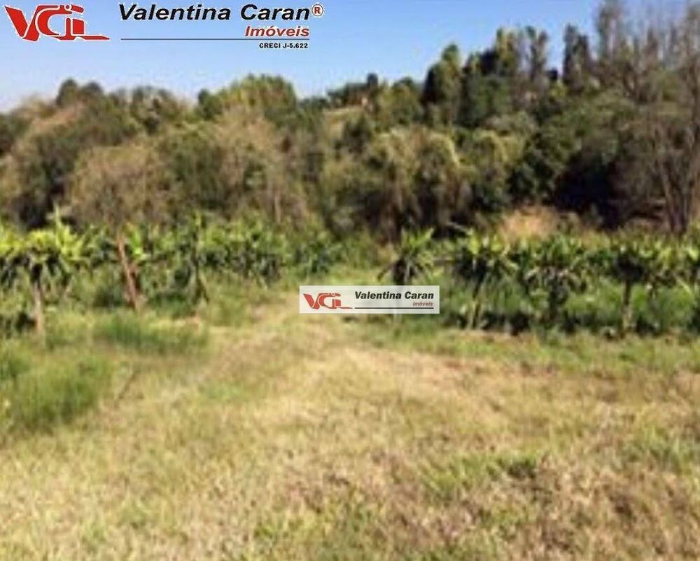 Sítio, 3 quartos, 2 hectares - Foto 4