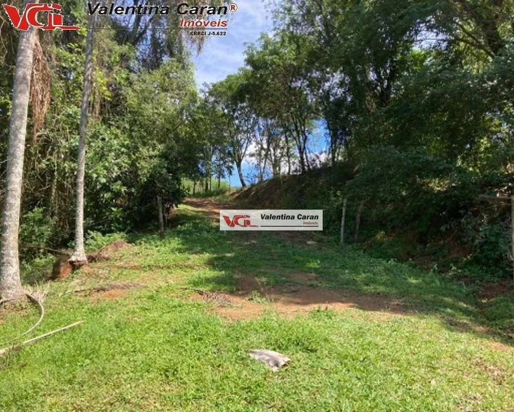Sítio, 4 quartos, 44 hectares - Foto 9