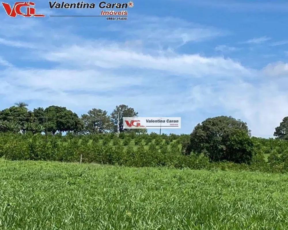 Sítio, 4 quartos, 44 hectares - Foto 12