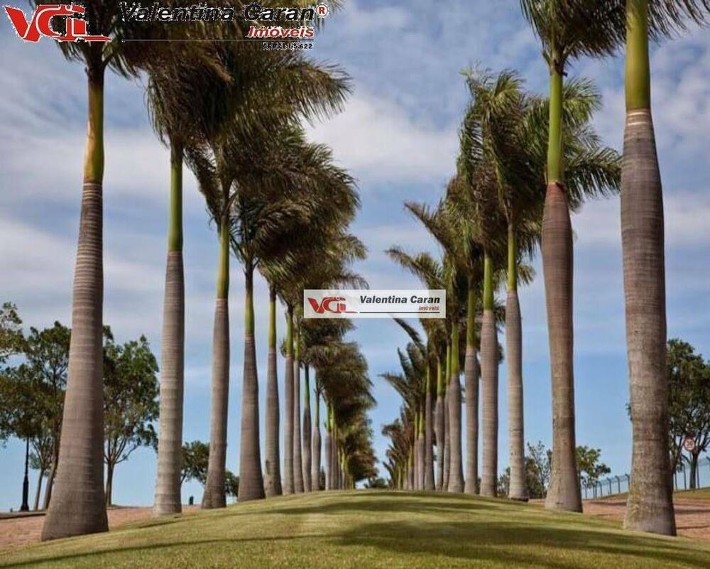 Terreno, 2354 m² - Foto 2