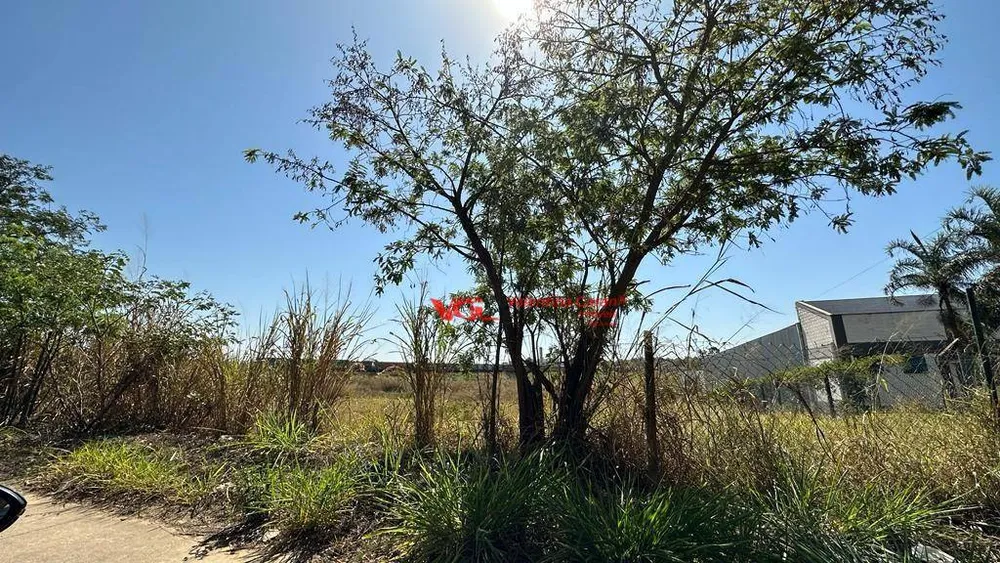 Terreno, 2 hectares - Foto 8