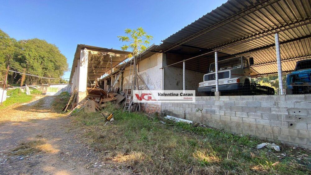 Terreno, 10 hectares - Foto 3