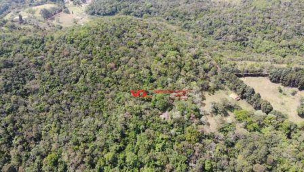 Terreno, 3 hectares - Foto 1