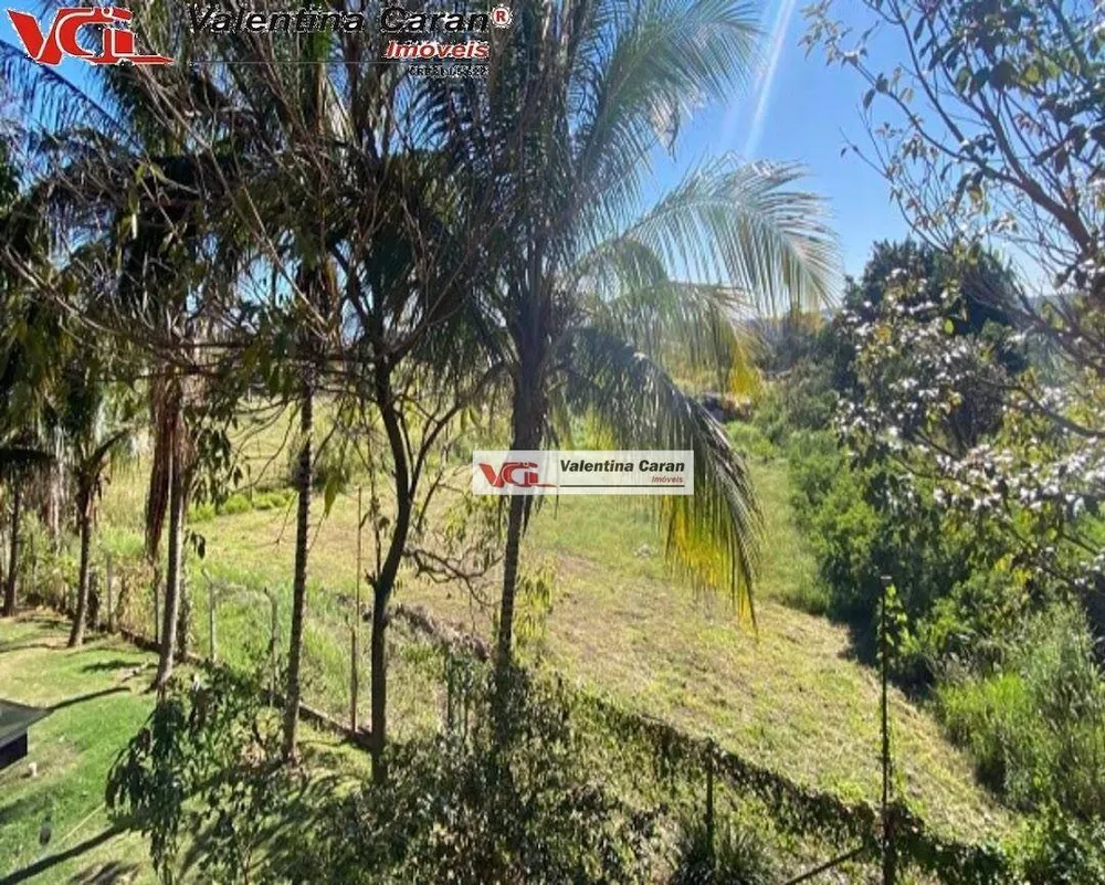 Terreno, 3 hectares - Foto 8