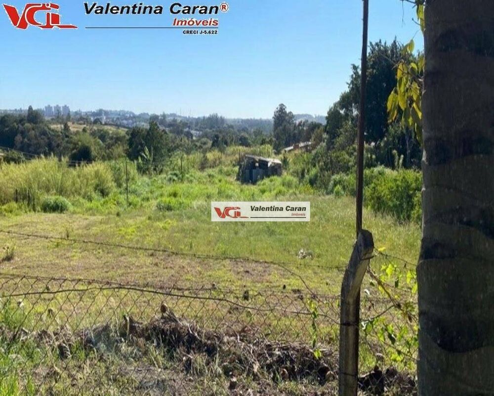 Terreno, 3 hectares - Foto 4