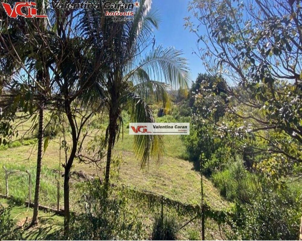 Terreno, 3 hectares - Foto 3