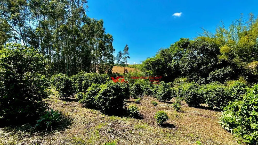 Sítio, 3 quartos, 3 hectares - Foto 9
