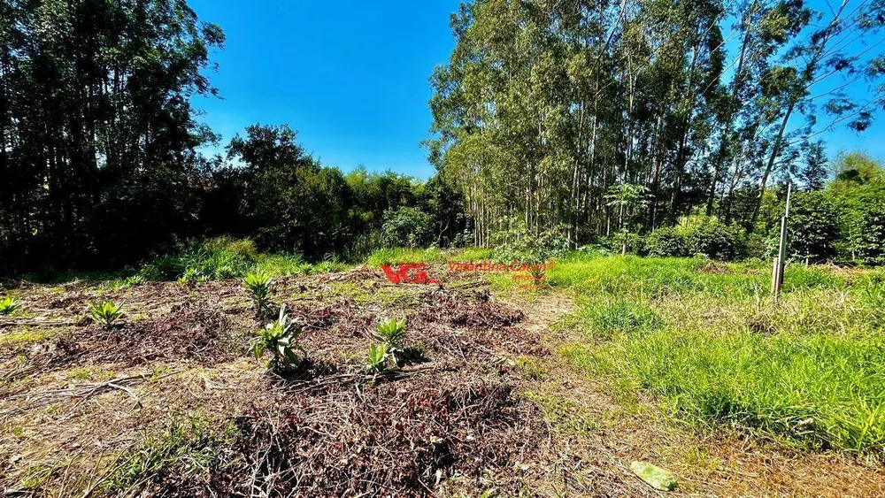 Sítio, 3 quartos, 3 hectares - Foto 11
