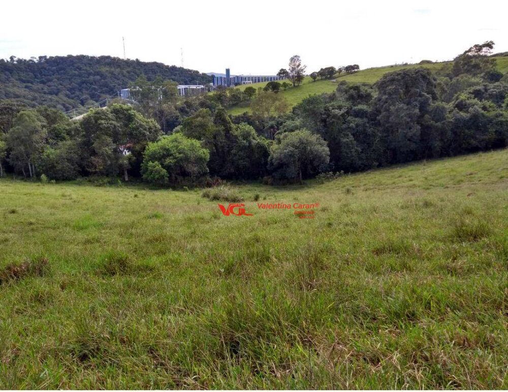 Terreno, 8 hectares - Foto 5
