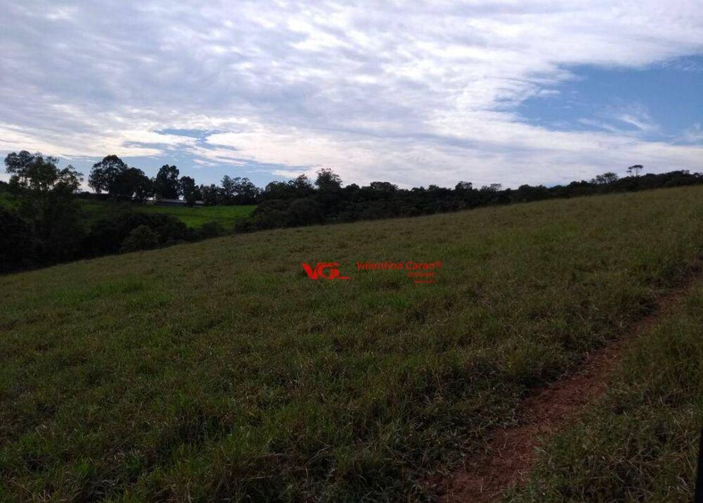 Terreno, 8 hectares - Foto 4