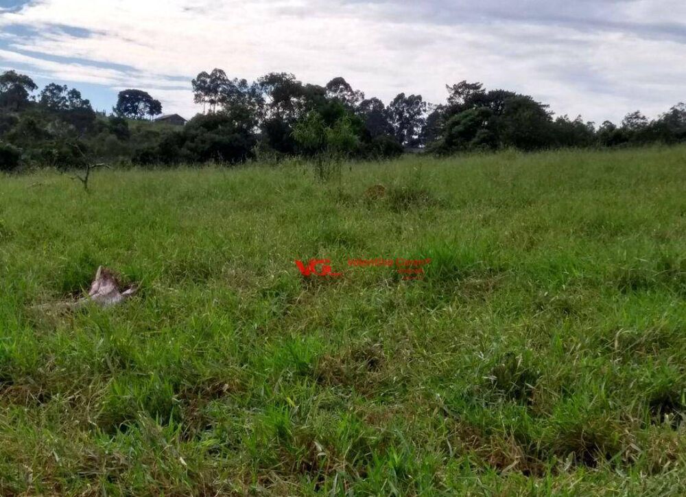 Terreno, 8 hectares - Foto 1