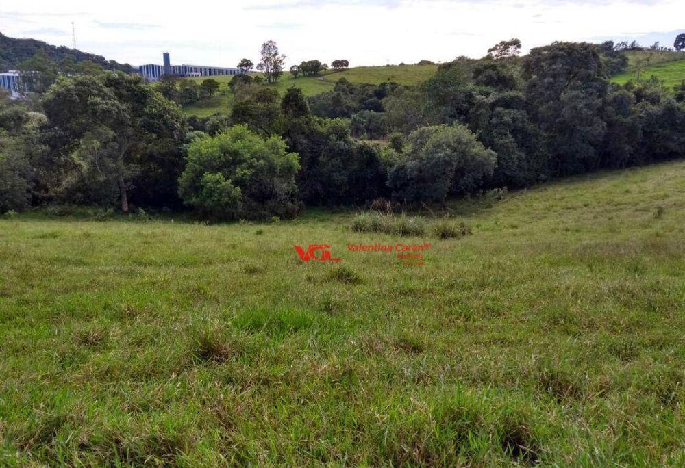 Terreno, 8 hectares - Foto 2