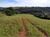 Terreno, 8 hectares - Foto 3