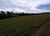 Terreno, 8 hectares - Foto 4