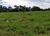 Terreno, 8 hectares - Foto 1