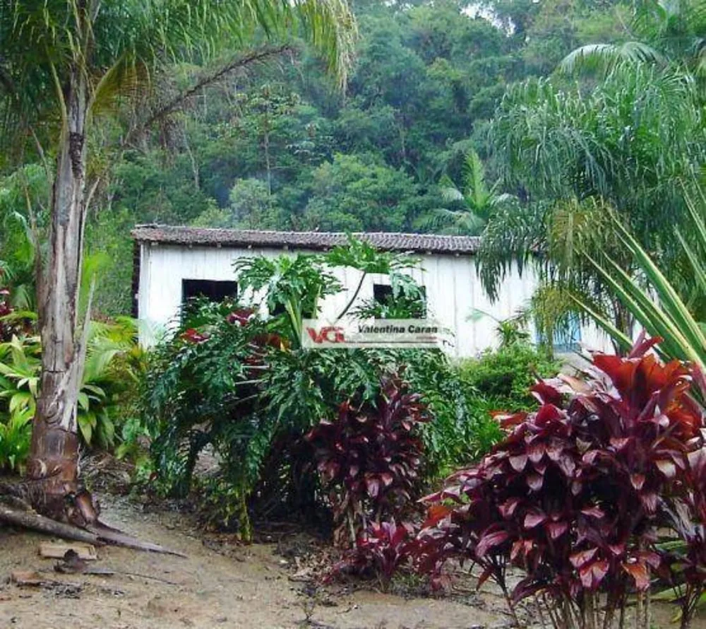 Fazenda, 554 hectares - Foto 2