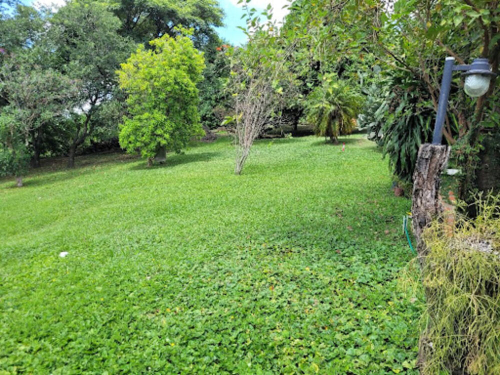 Loteamento e Condomínio, 2500 m² - Foto 2