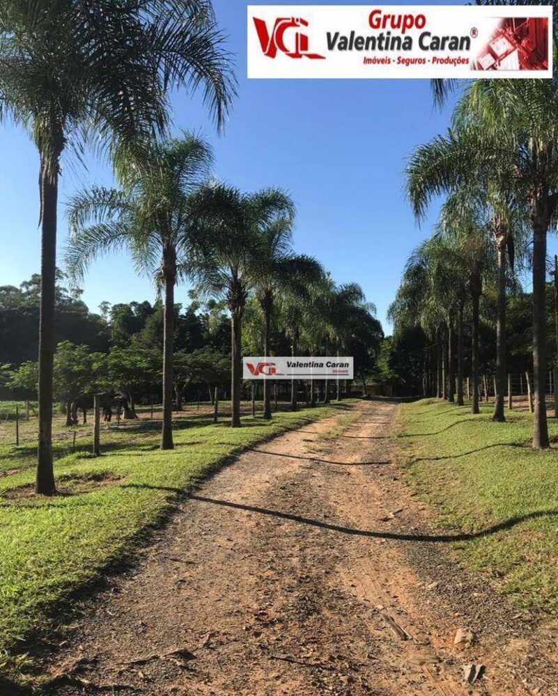 Terreno, 2 hectares - Foto 1