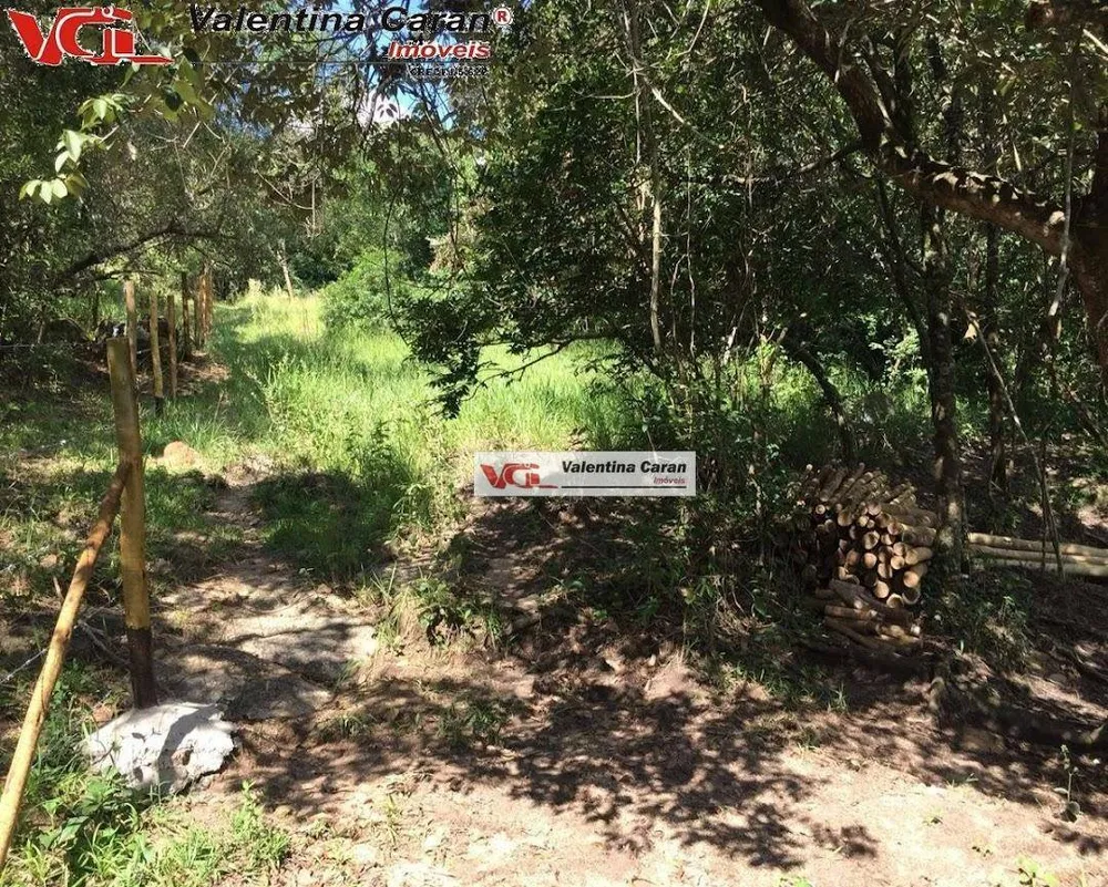 Terreno, 4 hectares - Foto 4
