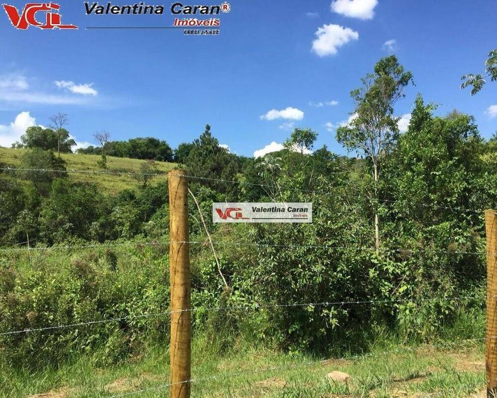 Terreno, 4 hectares - Foto 2