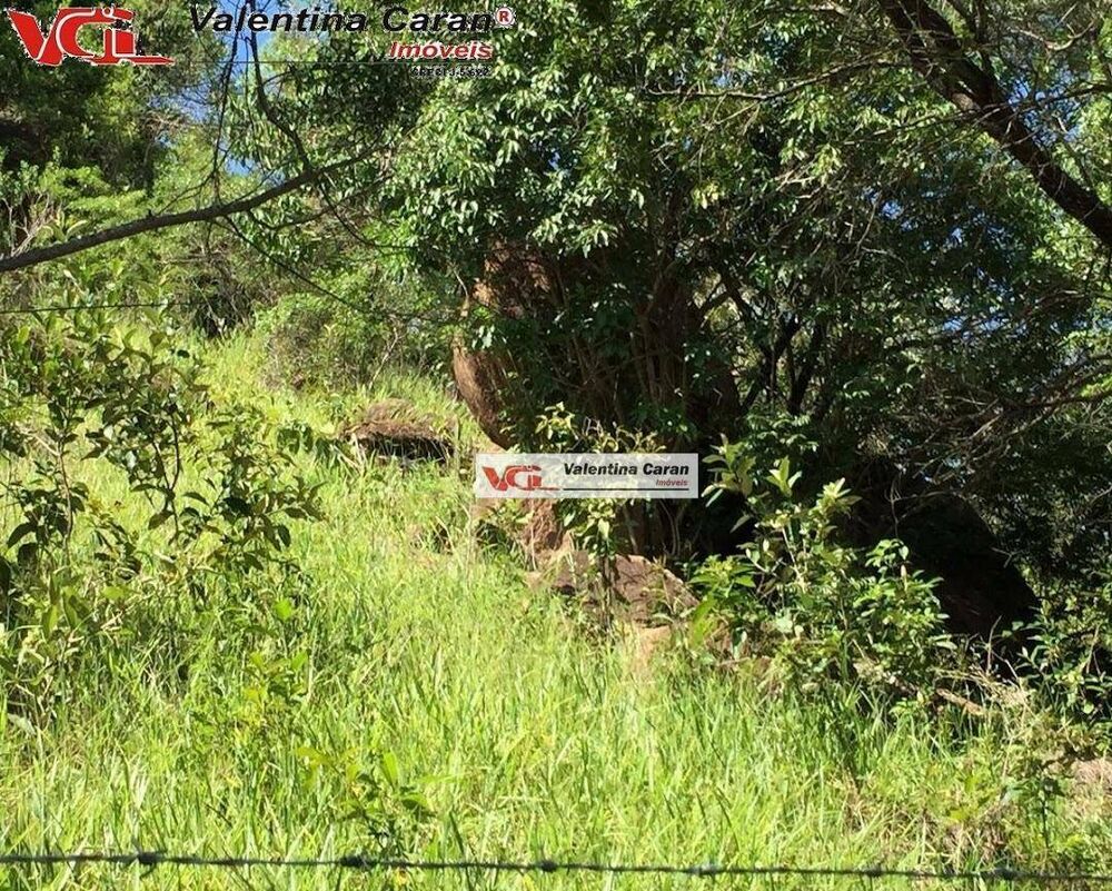 Terreno, 4 hectares - Foto 3