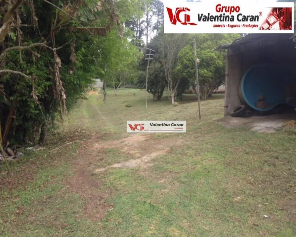 Terreno, 4 hectares - Foto 3