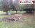 Terreno, 4 hectares - Foto 2