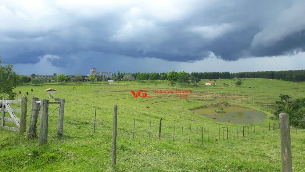Fazenda, 27 hectares - Foto 11