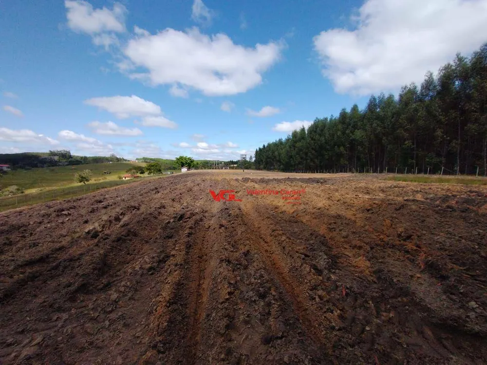 Fazenda, 27 hectares - Foto 12